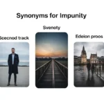 Synonyms for Impunity