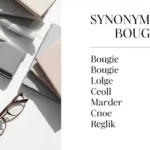 Synonyms for Bougie