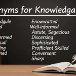Synonyms for Knowledgeable