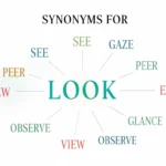 Synonyms for Look