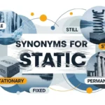 Synonyms for Static