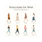 Synonyms for Strut