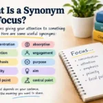 what is a synonym for focus
